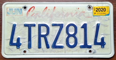 ROAD KILL - California 2020