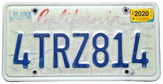 ROAD KILL - California 2020