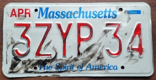 ROAD KILL - Massachusetts