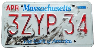 ROAD KILL - Massachusetts