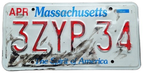 ROAD KILL - Massachusetts