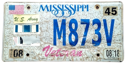 ROAD KILL - Mississippi 2018