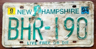 ROAD KILL - New Hampshire 1994