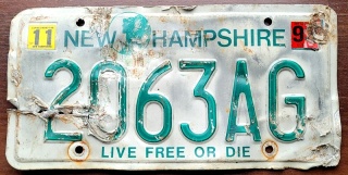 ROAD KILL - New Hampshire