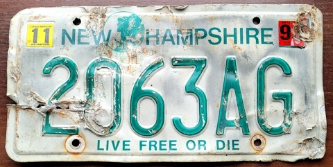 ROAD KILL - New Hampshire