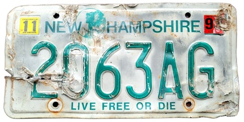 ROAD KILL - New Hampshire