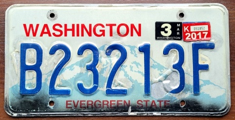 ROAD KILL - Washington 2017