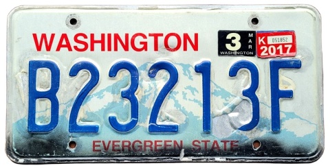 ROAD KILL - Washington 2017