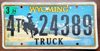 ROAD KILL - Wyoming 2024