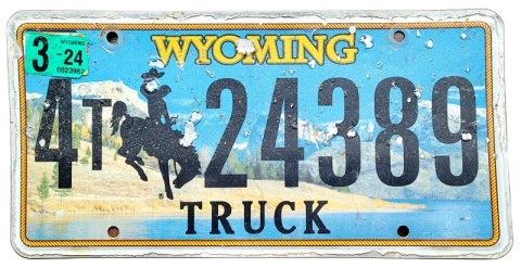 ROAD KILL - Wyoming 2024