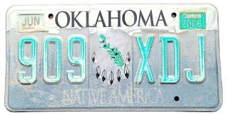 ROAD Kill - Oklahoma 2006