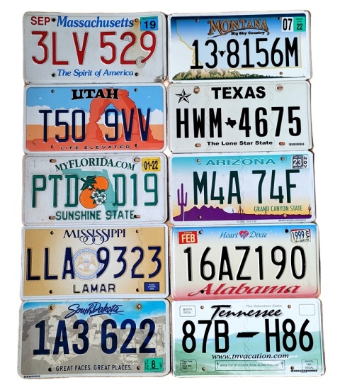 Zestaw 10 tablic USA