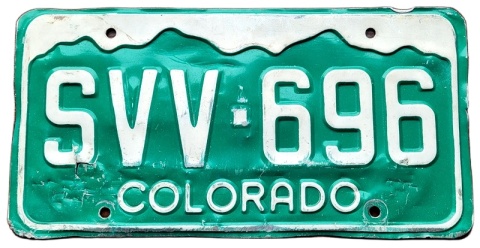 ROAD KILL - Colorado