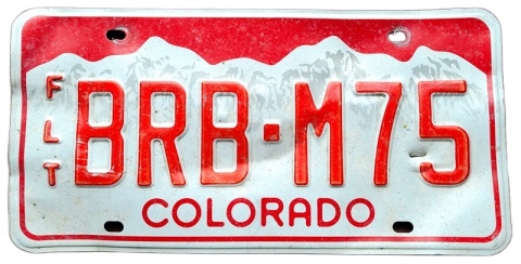 ROAD KILL - Colorado