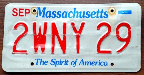 ROAD KILL - Massachusetts