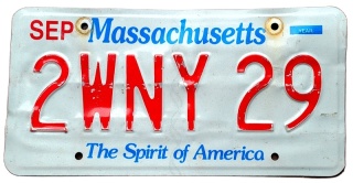 ROAD KILL - Massachusetts