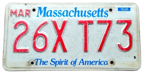 ROAD KILL - Massachusetts