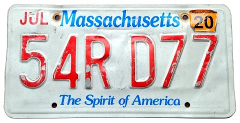 ROAD KILL - Massachusetts