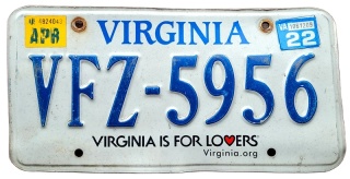 ROAD KILL - Virginia